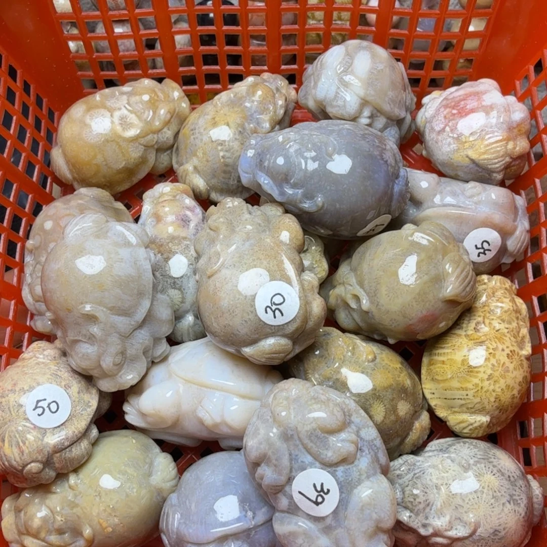 硅化玉未镶嵌清仓20个，龙龟  隐形孔