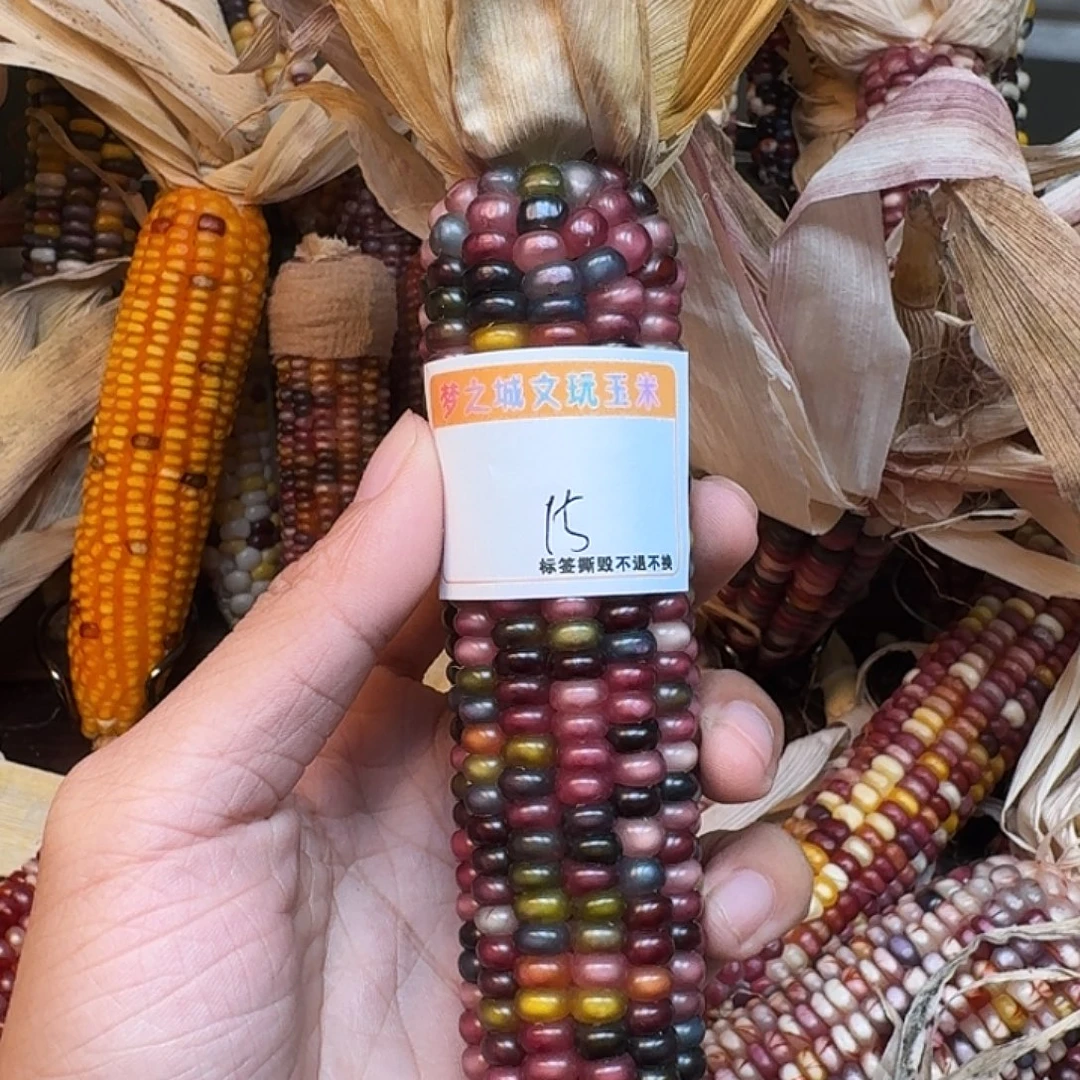 雨***虹吊坠柏香籽/百香籽