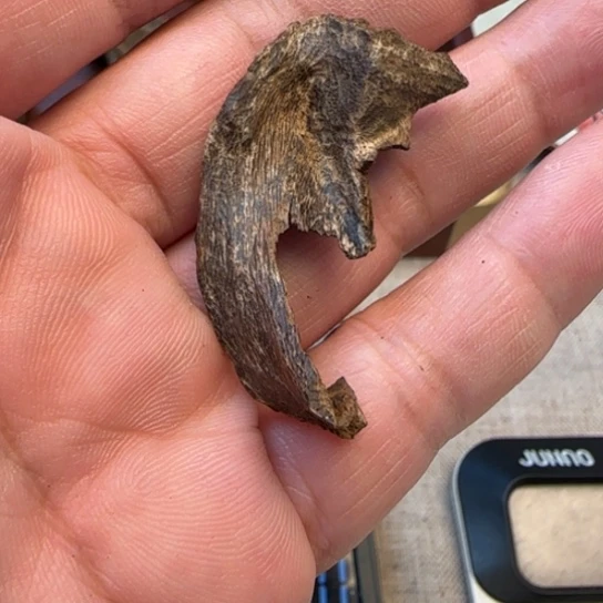 沉香摆件尖峰岭野生老香1.5克