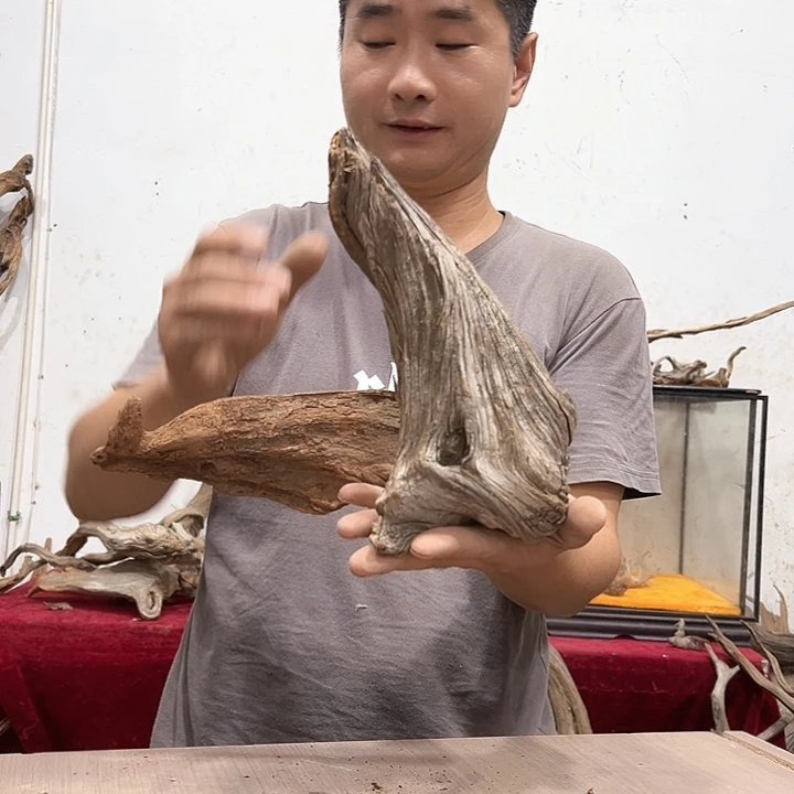 柏木少****）我们的生活也是如此的