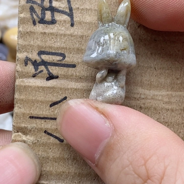 颈饰未镶嵌硅化珊瑚（珊瑚玉）恒****君