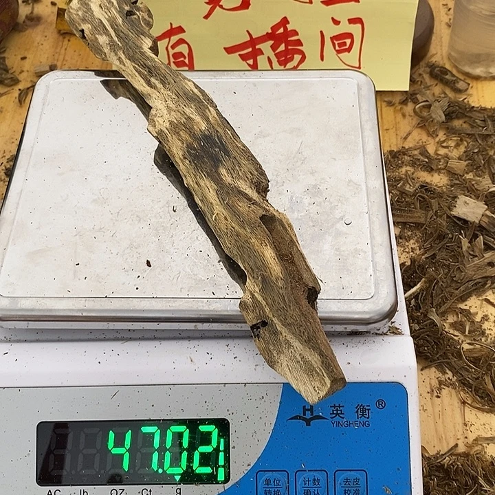 沉香碎屑沉香虎斑棋棋楠沉香47克