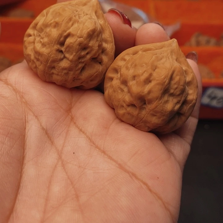 核桃古蟾36尺核桃