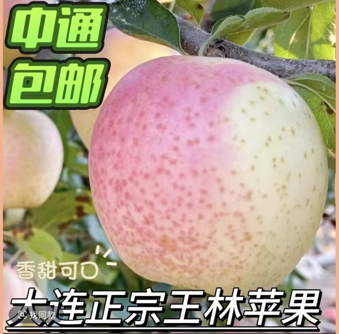 《中通快递》大连特产麻脸王林苹果脆甜多汁(农家果，介意慎拍)