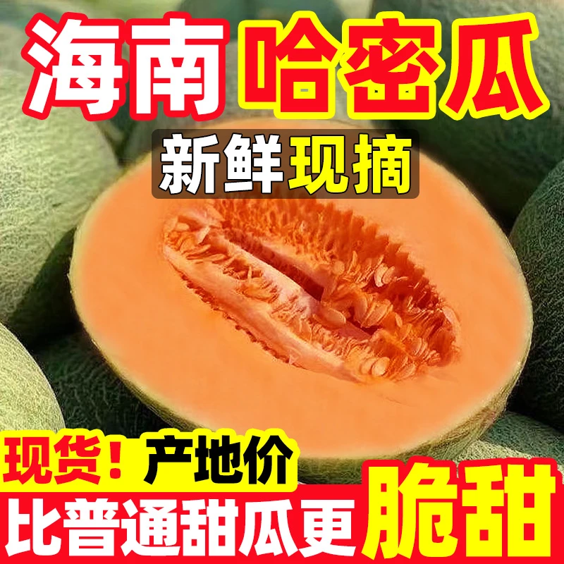 正宗海南哈密瓜新鲜水果疆西州蜜瓜老汉瓜一整箱网纹甜瓜z