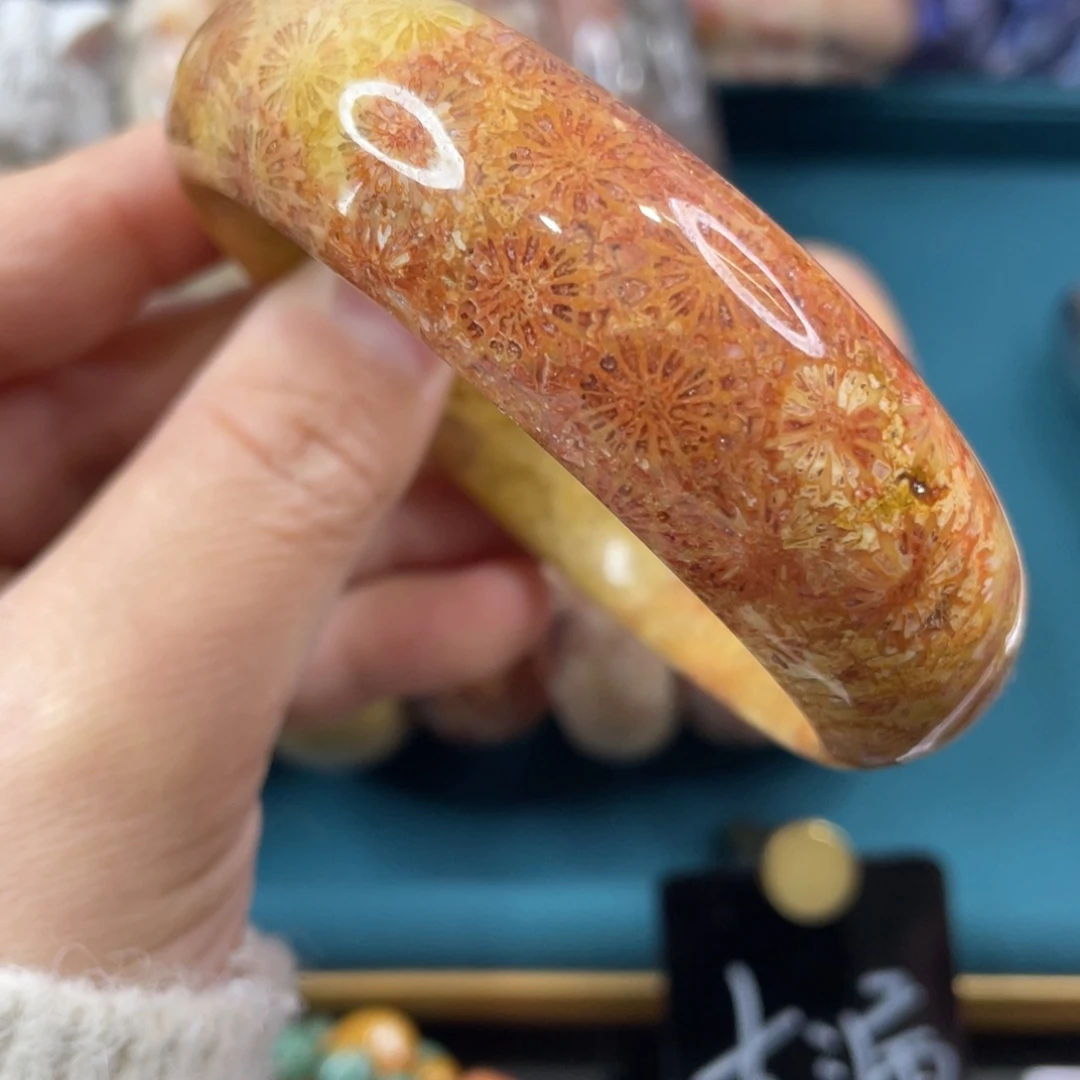 未镶嵌手镯硅化玉