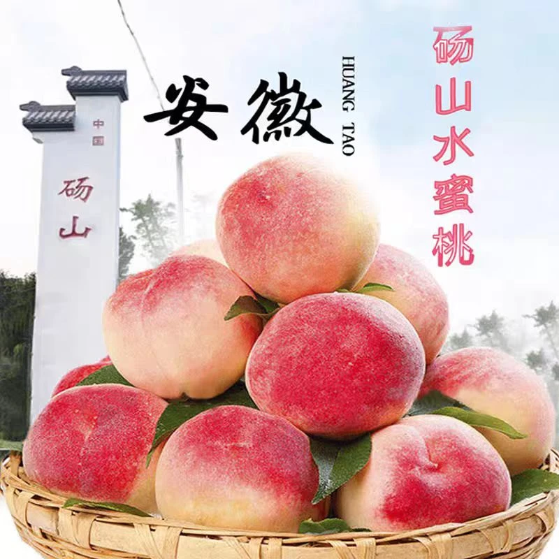 正宗砀山突围水蜜桃1.5-3斤当季新鲜水果桃子安徽省