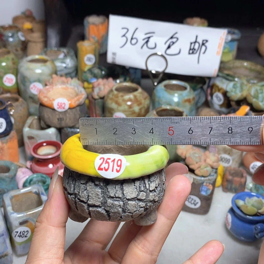 拍3送一个小礼物