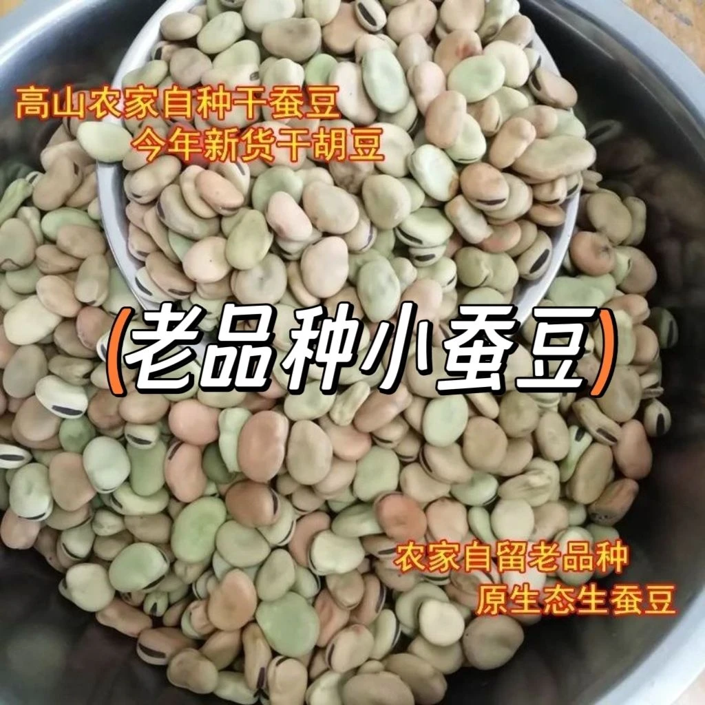 农家新货干生蚕豆农家生干胡豆蔬菜罗汉豆干蚕豆干胡豆干货生胡豆