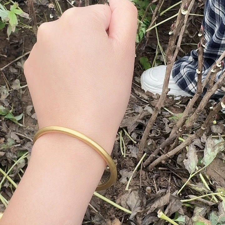 无花朵紫罗兰41111111111111