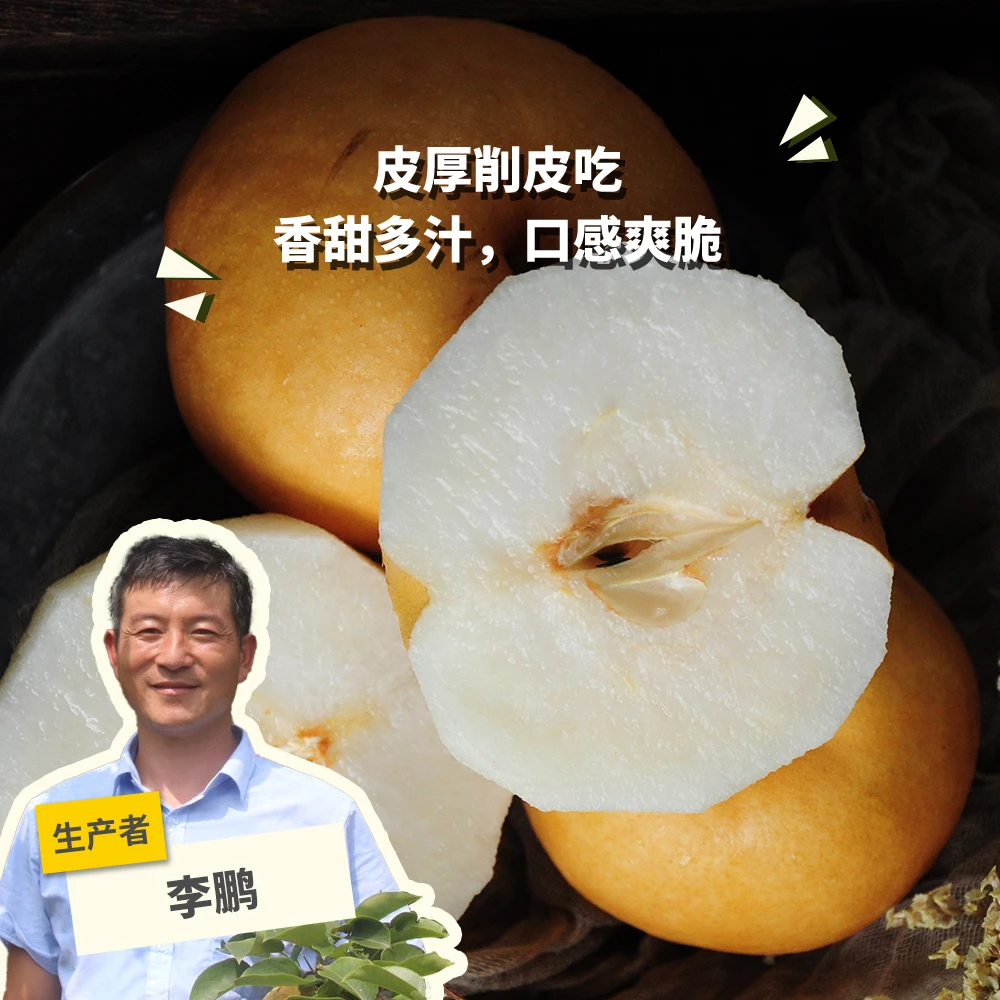 有机圆黄梨2.25kg 绿手指有机农园