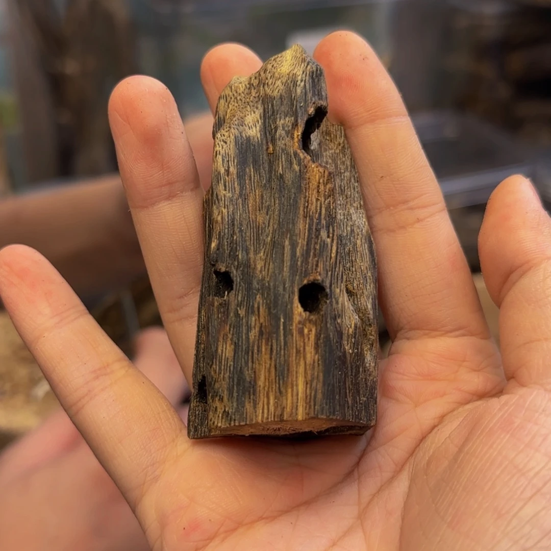 沉香沉香碎屑21克65