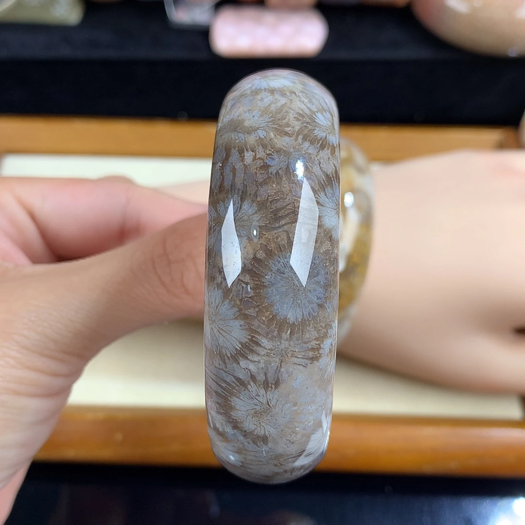 吊坠(赠链)未镶嵌硅化珊瑚（珊瑚玉）17号大花56圈口