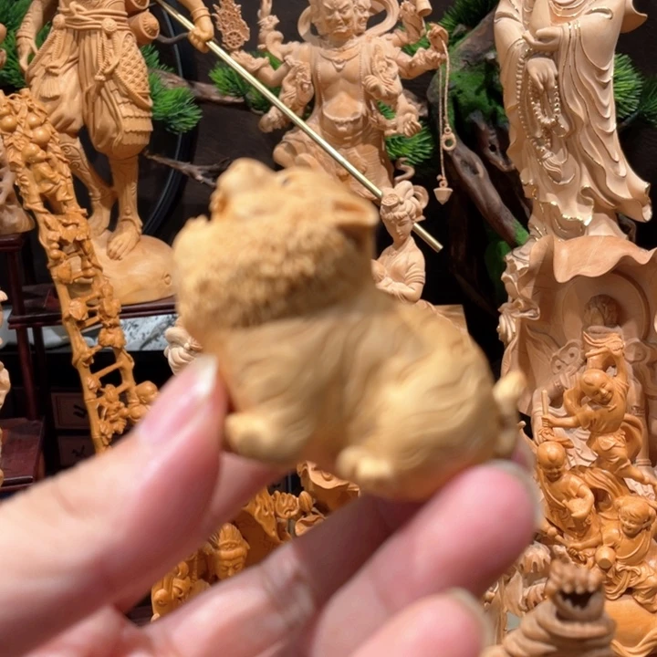 黄杨木小老虎小叶