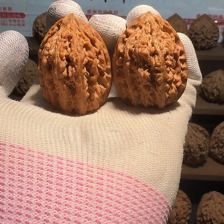 男***孩核桃秦岭野生无名鸡心