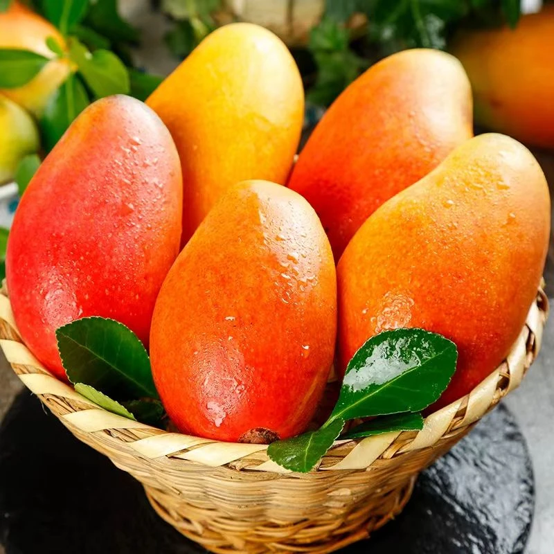 云南红贵妃当季水果新鲜现摘