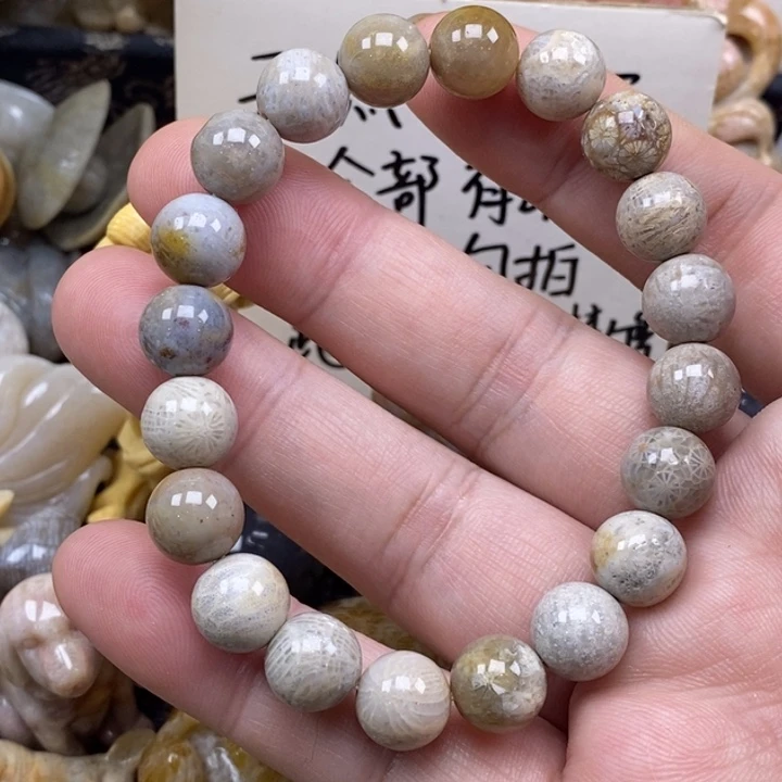 硅化珊瑚（珊瑚玉）未镶嵌颈饰