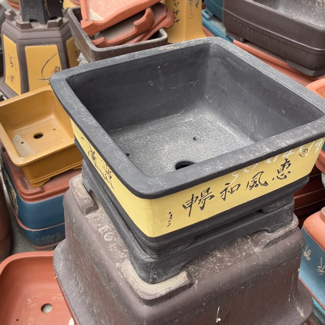 紫砂花盆盆景艺术