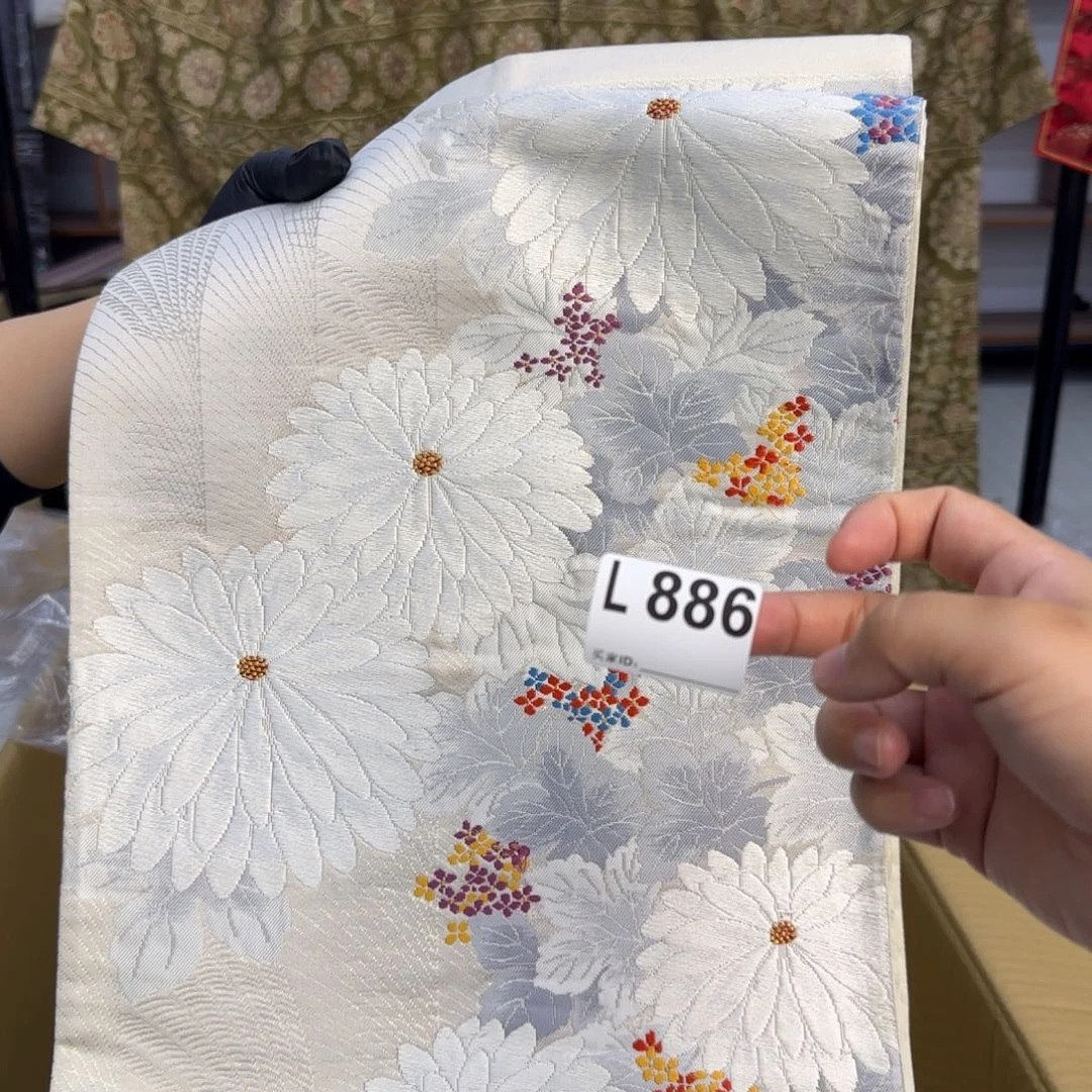 毛绒冤*啊呃呃呃呃呃呃呃呃呃呃