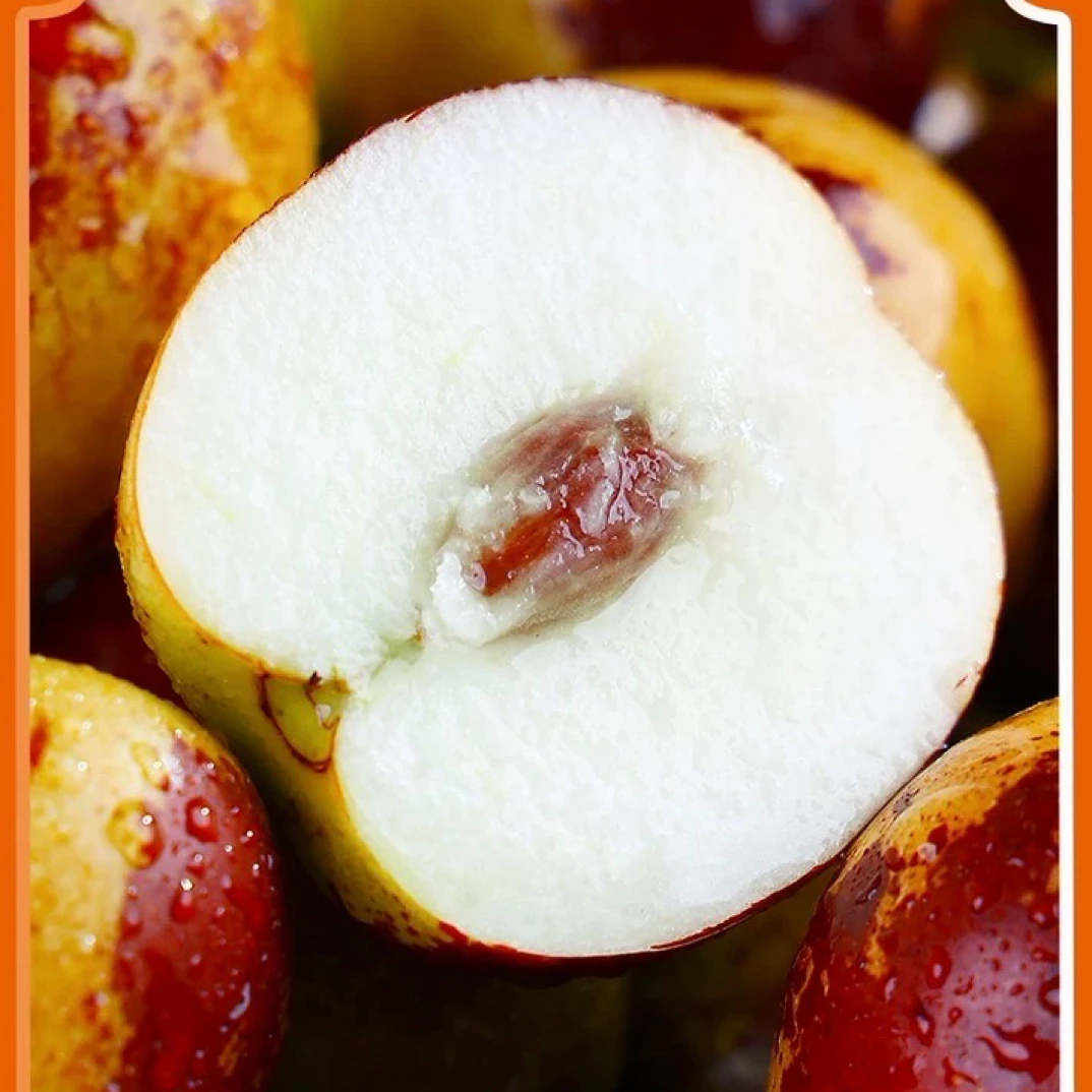 【山西庙上冬枣】顺丰包邮临猗冰糖冬枣脆甜多汁新鲜当季水果大枣