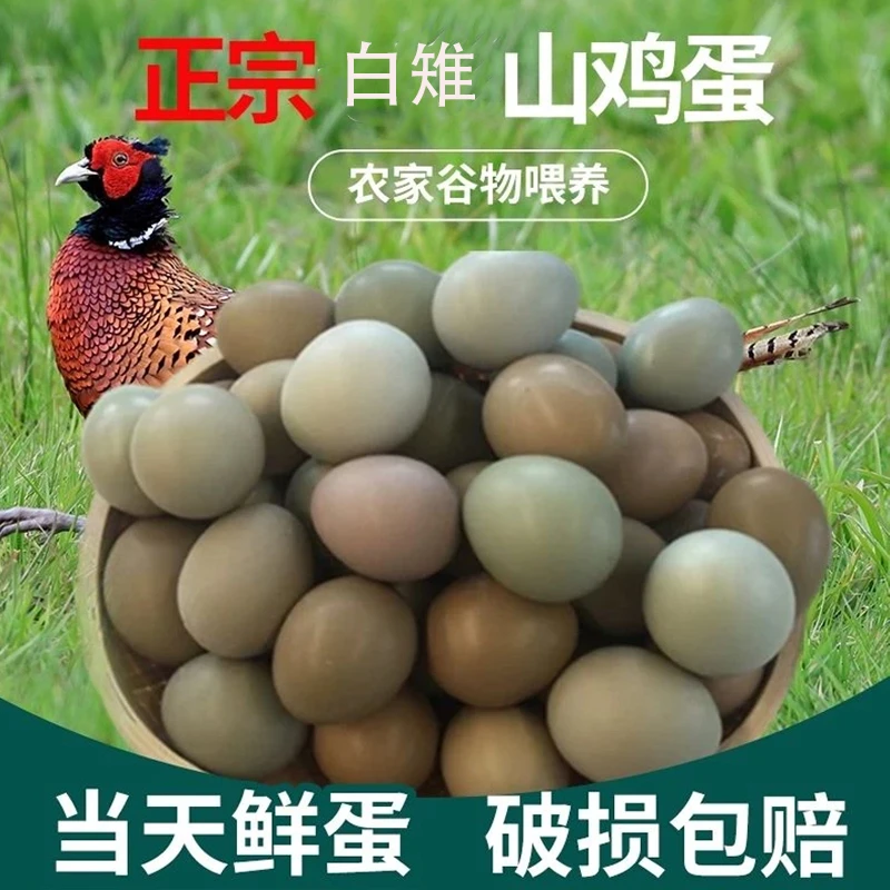 【顺丰包邮】白雉山鸡蛋五谷喂养农村户外散养现捡60枚新鲜野山鸡蛋