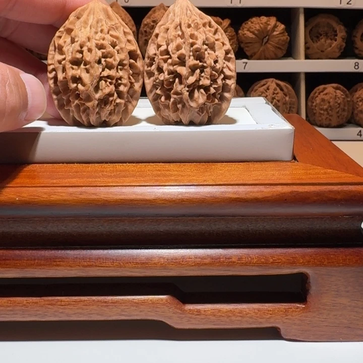精品招财鼠尺寸38