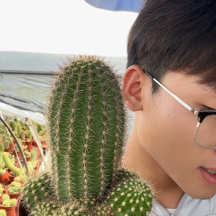 蓝***翔完全开放苏乞儿哈哈哈哈哈哈