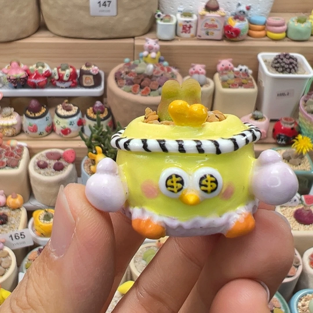 多肉植物172号拇指盆