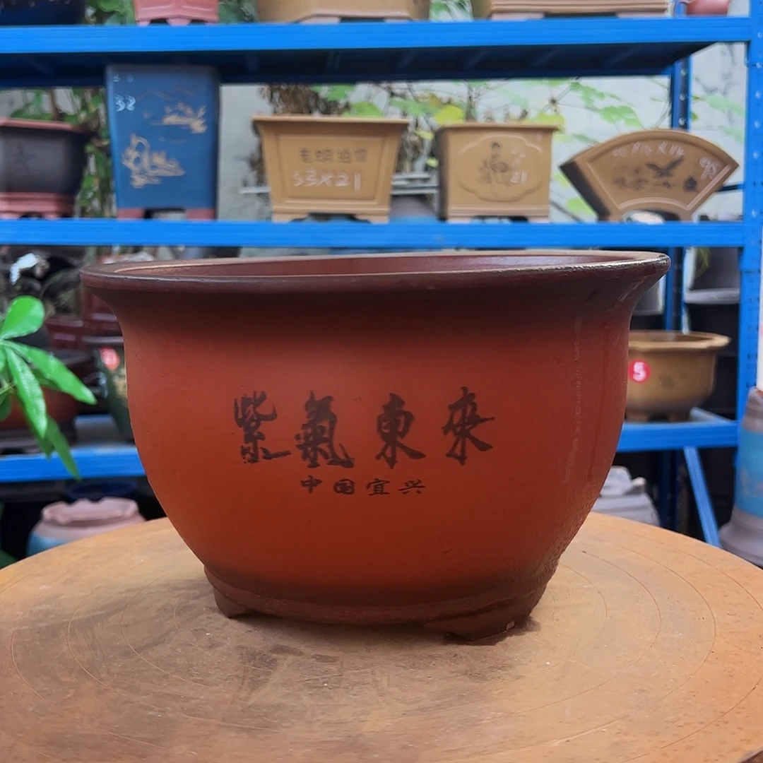 30紫气东来花盆花盆花盆