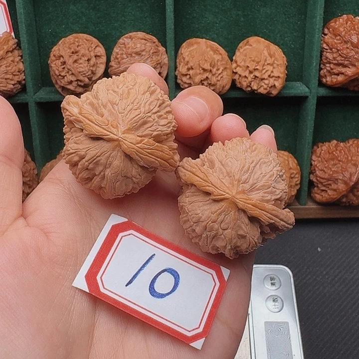 把件文玩核桃白狮子40尺