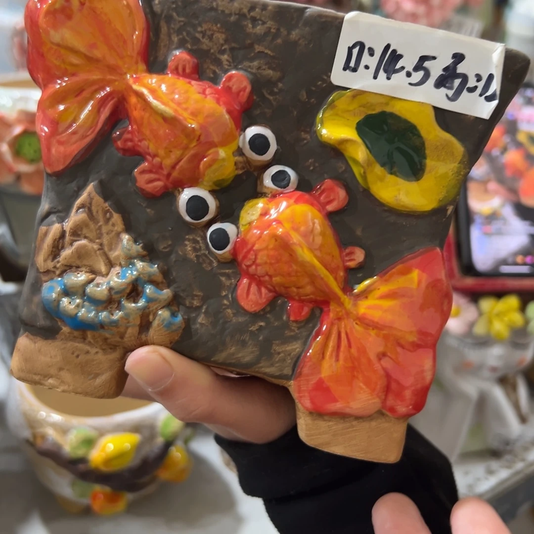 花盆，拍满20发货，退款拉黑