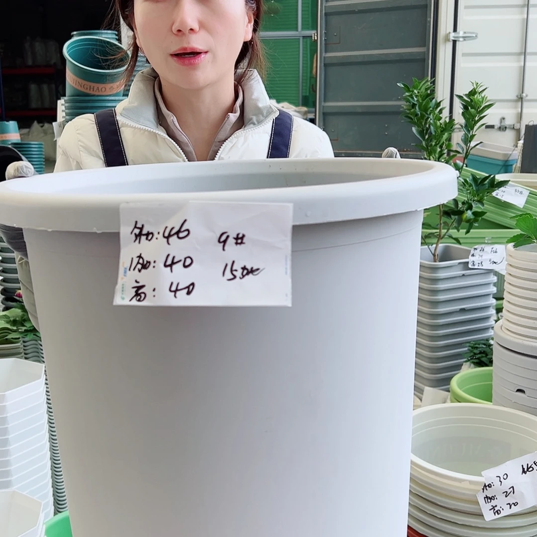 四季盆9#灰白4个无托