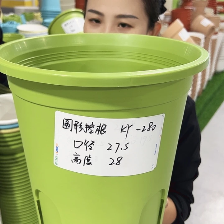 正品圆控口27.5高28果绿无托5只