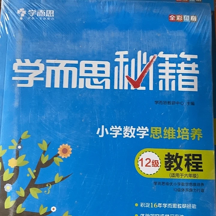 小学数学思维培养12级六年级