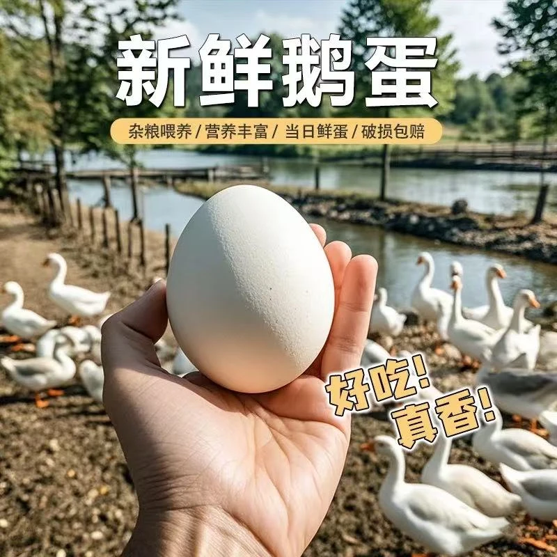 ss农家散养鹅蛋新鲜12颗整箱发货，初生蛋单颗80g-100g。