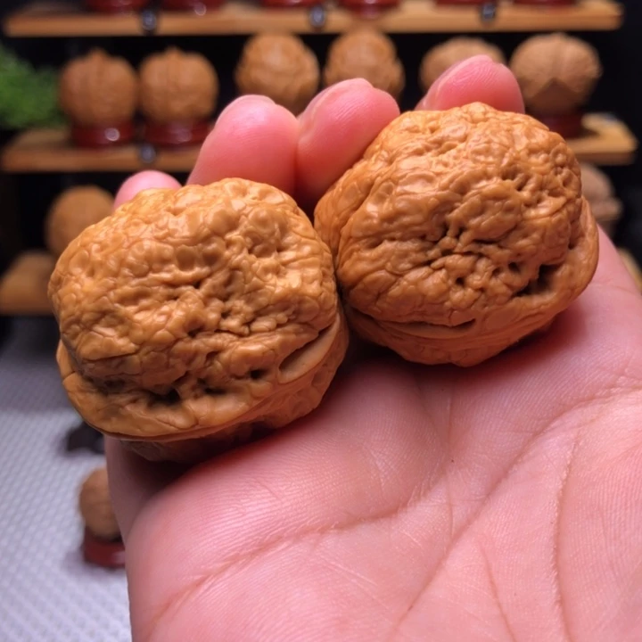 【闪购商品】帝王蝉9