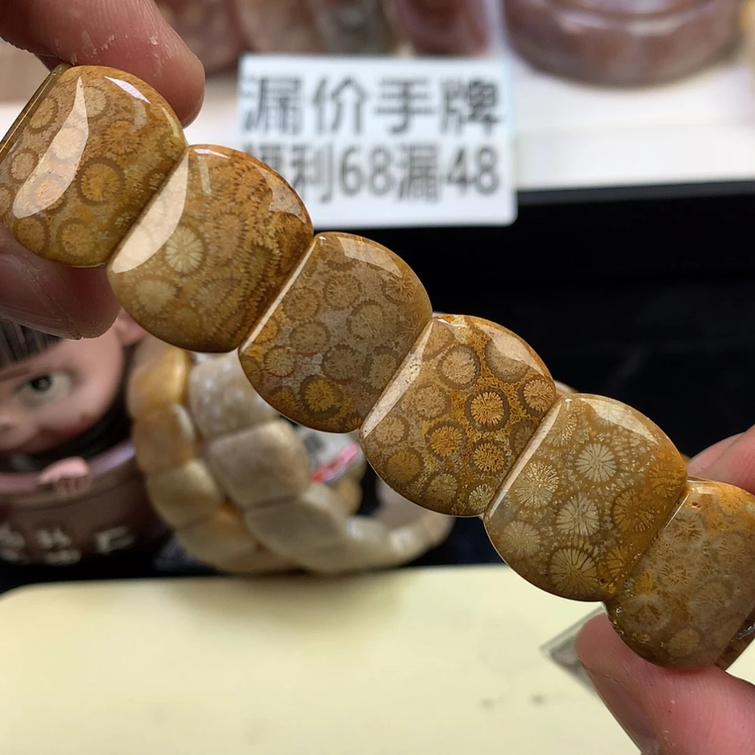 【闪购商品】颈饰未镶嵌硅化珊瑚（珊瑚玉）50号皮花花