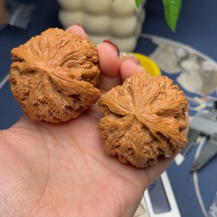 文玩核桃把件呼***呲粗筋51