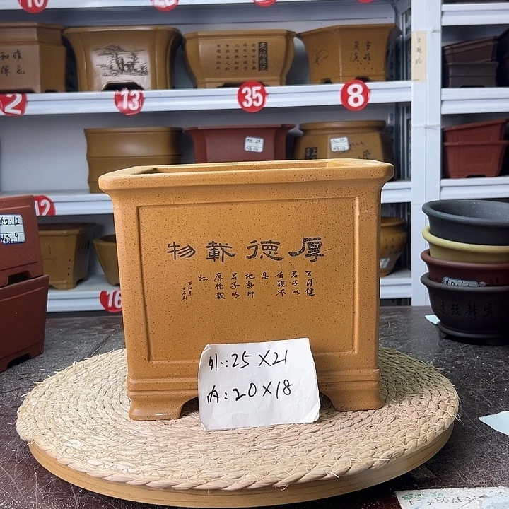 紫砂花盆蛇年大吉