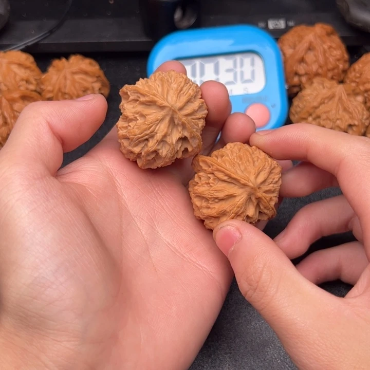 全品苹果园555555555