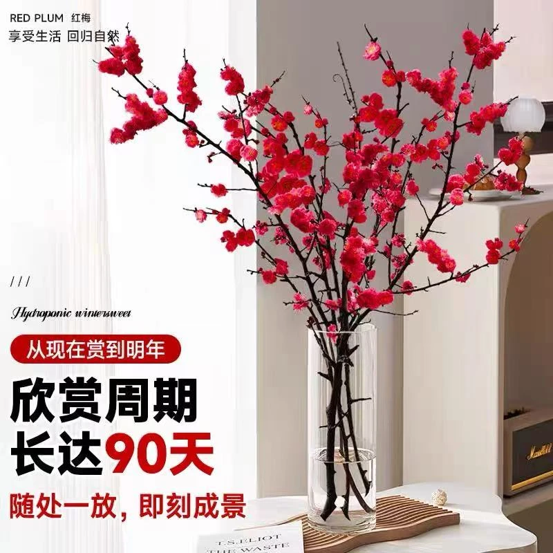 【现摘现发20枝】红梅鲜枝带花苞发货 水培植物粉色桃花鲜红花干枝