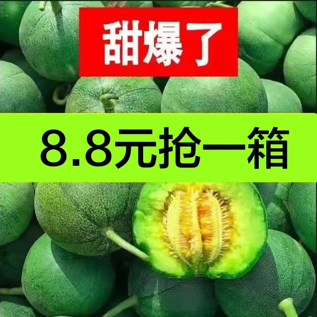 【产地优选】山东绿宝石甜瓜现摘新鲜当季水果头茬直发脆甜多汁薄皮