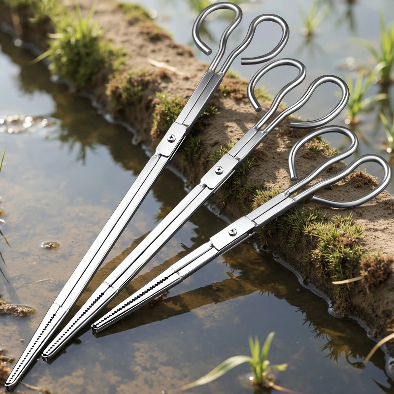 鳝鱼夹泥鳅螃蟹钳子不锈钢黄鳝夹子防滑防脱抓捉专用工具赶海神器