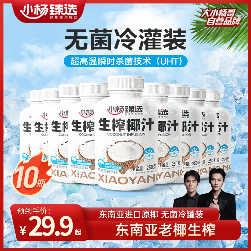 小杨臻选生榨椰汁 植物蛋白饮料  250g*10瓶  即饮生椰 整箱装
