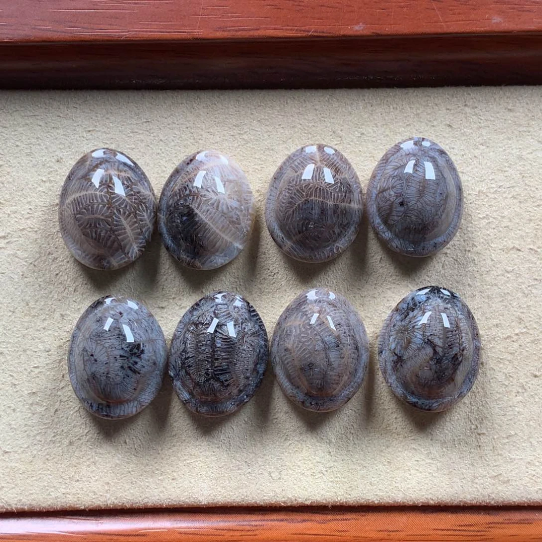 未镶嵌龟背黑虫480/组。21硅化珊瑚（珊瑚玉）