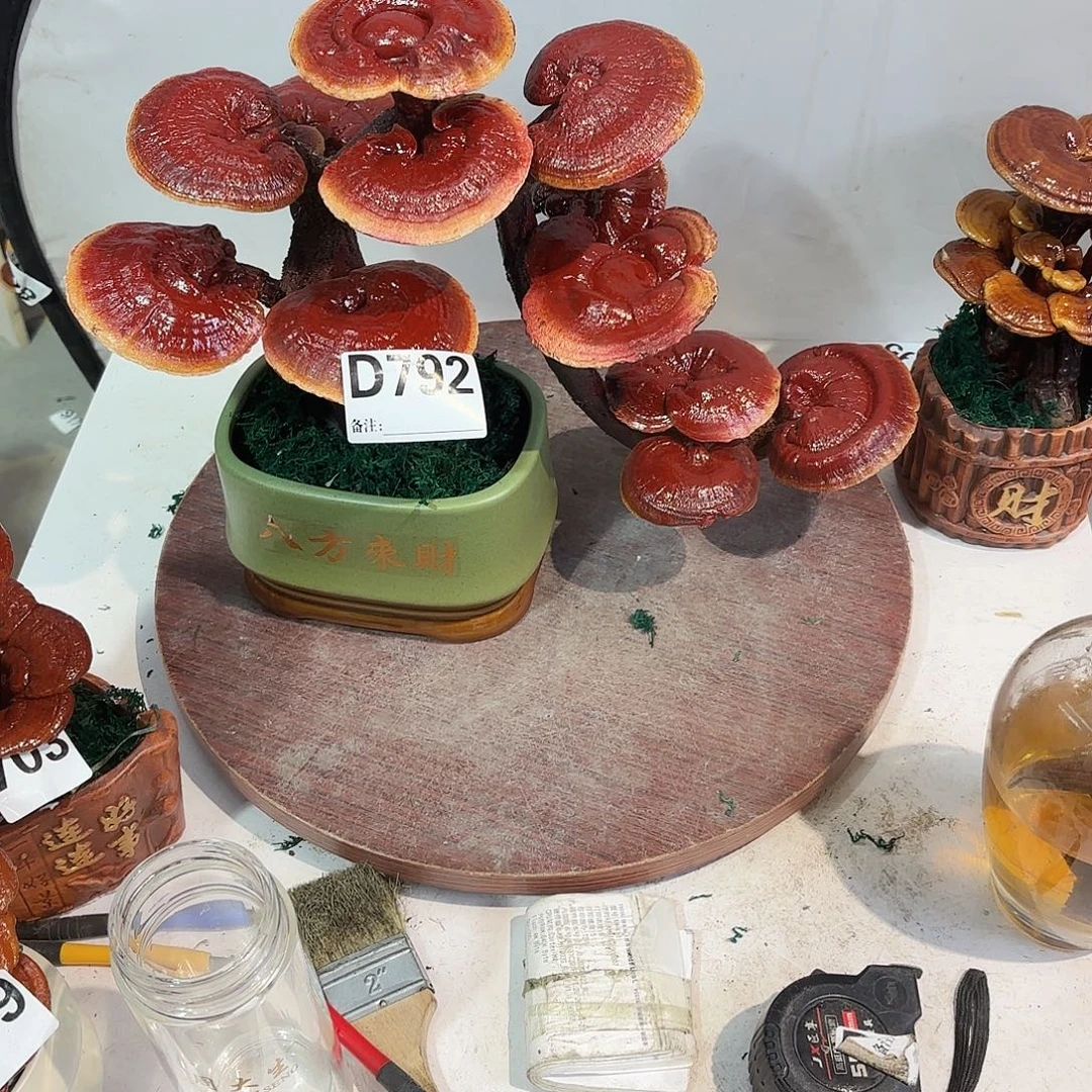 用***5无花朵灵芝555555555555555