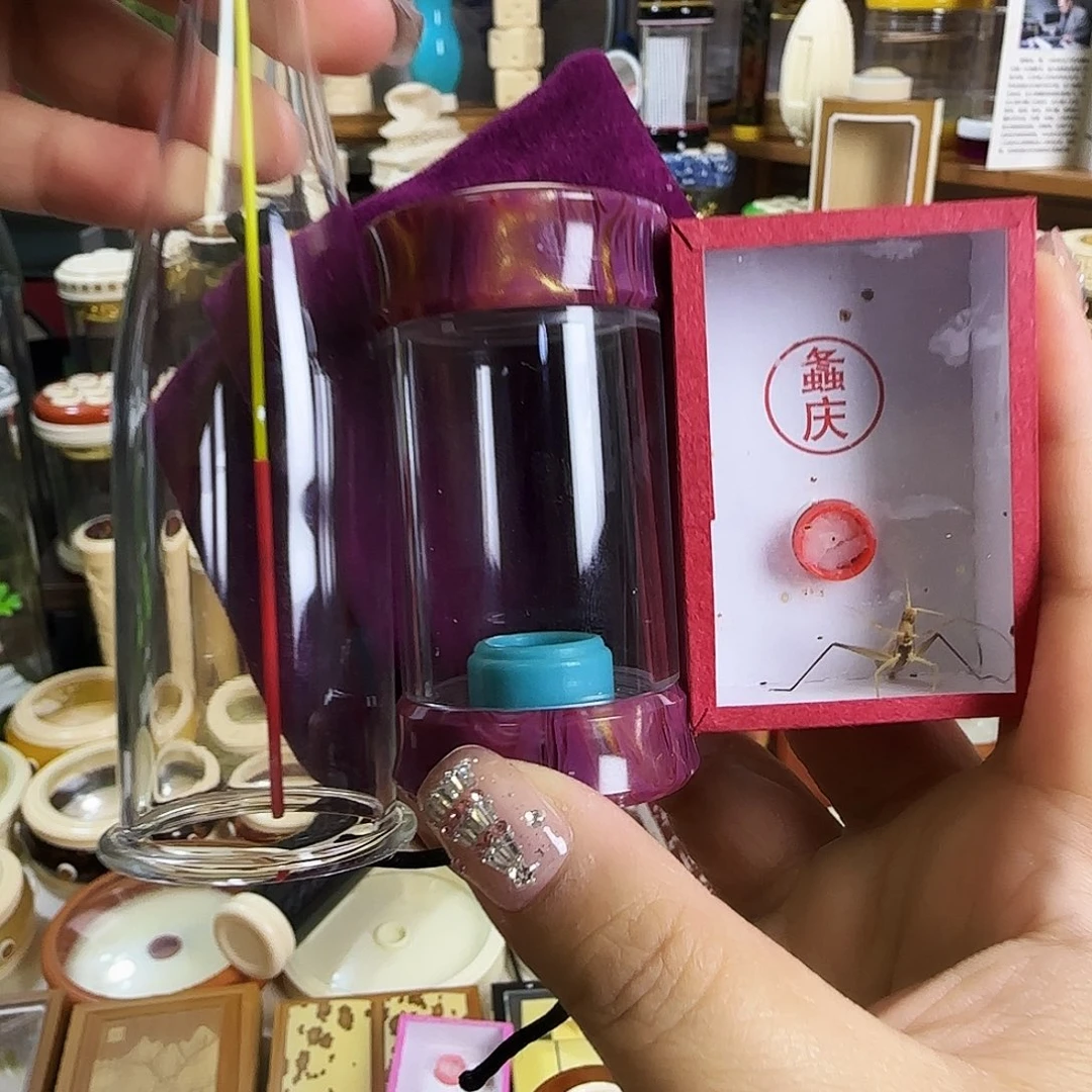 紫色掌中宝➕柬竹啊啊啊啊啊