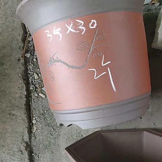 茶叶罐紫砂宜兴花盆厂家直销