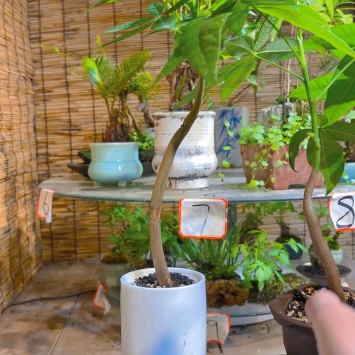 完全开放一物一拍所见即所得49