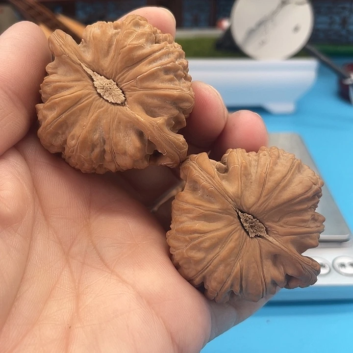 文玩核桃把件黑*地白狮子